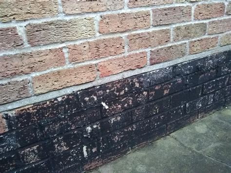 Image result for Damp Course DIY