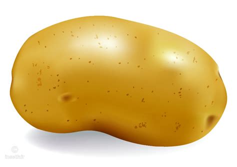 Image result for Vector File Download