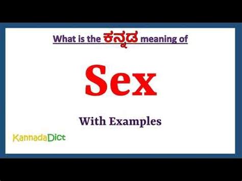 Image result for Max Programming Interface