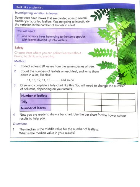 Image result for Inheritance Exercise C