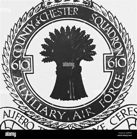 BADGES OF BATTLE OF BRITAIN SQUADRON. - The badge of No.610 [COUNTY OF ...