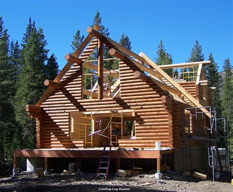 Log Home Build 的图像结果