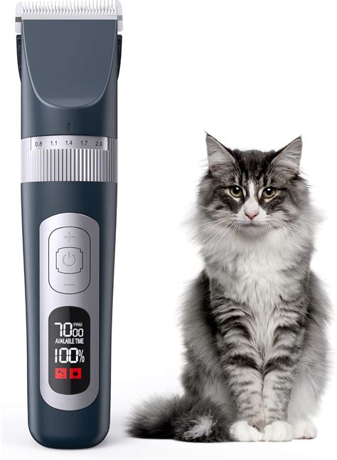 Using Clippers On A Cat at Alicia Tuckett blog
