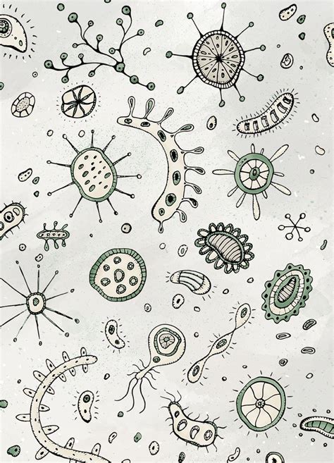 Biology Cute Pictures 的图像结果