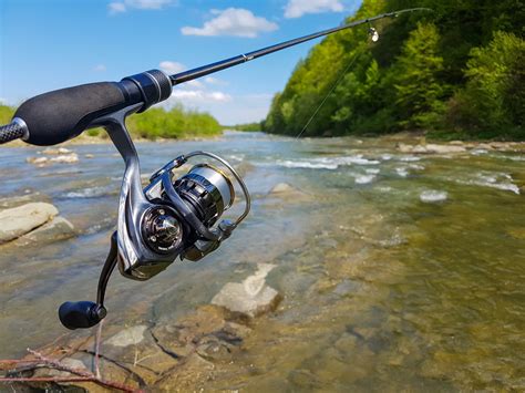 Types of Fishing Reels: The Complete Guide – Pro Tackle World