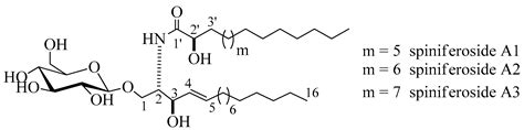 New Cytotoxic Cerebrosides from the Red Sea Cucumber Holothuria ...