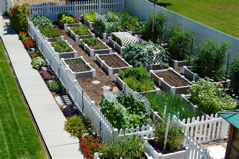 Vegetable Garden Planning, Backyard Vegetable Gardens, Vegetable Garden ...