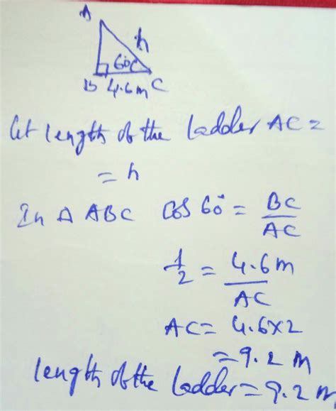 The angle of elevation of a ladder leaning against a wall is 60º and ...