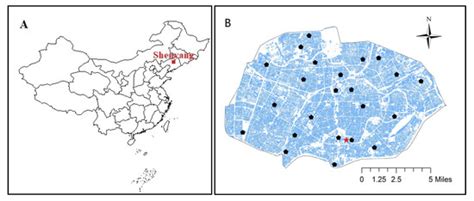 Assessing Ozone Distribution Vertically and Horizontally in Urban ...
