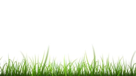 Agriculture Animation 的图像结果