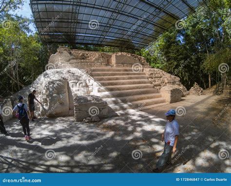 Archaeological Site: El Mirador, the Cradle of Mayan Civilization and ...