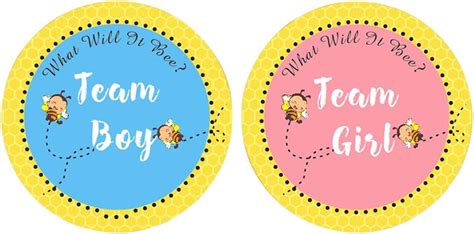 100 Pcs Baby Bee Gender Reveal Sticker Team boy and India | Ubuy