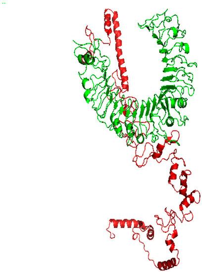 In Silico Prediction of a Multitope Vaccine against Moraxella ...