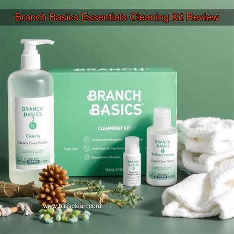 Branch Basics Essentials Cleaning Kit Review – BlissClean