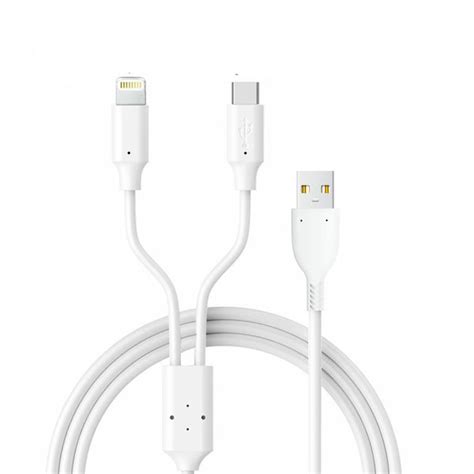 2 in 1 Charging Cable with Type C and Lightning (iPhone) Compatibility ...