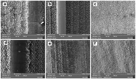 Biomimetic Approach for the Elaboration of Highly Hydrophobic Surfaces ...