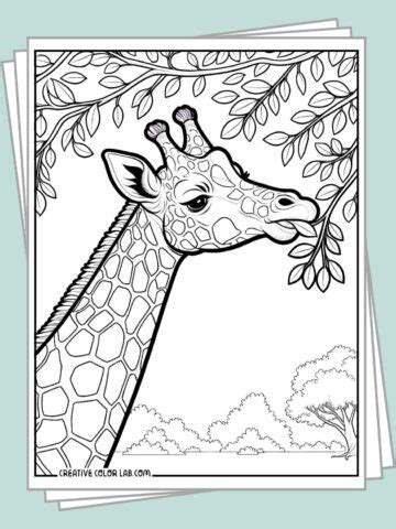 Colouring Pages Printable 的图像结果