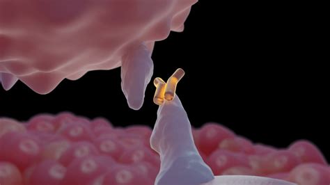 Medication Animation 的图像结果