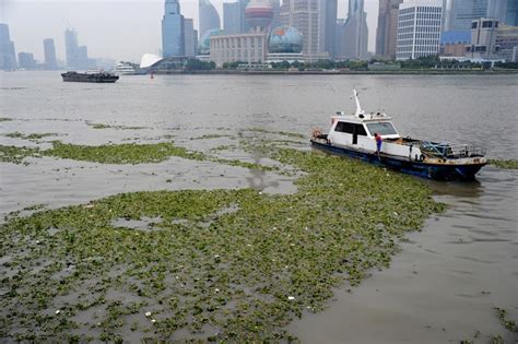 海口：办亲子公益活动 给孩子多彩周末[图]_海口网