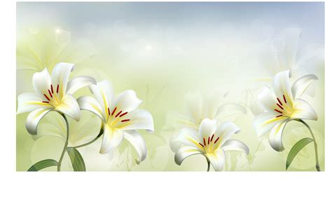 Beautiful white flower vector background 02 free download