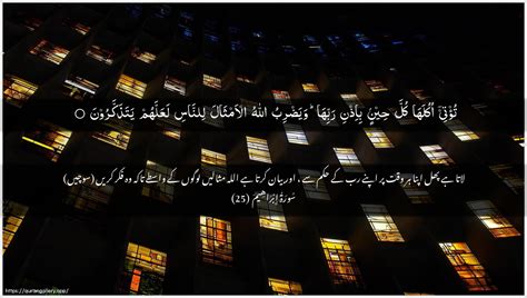 Parable of the Good Tree (Surah Ibrahim 14:25) - A Perpetual Harvest ...