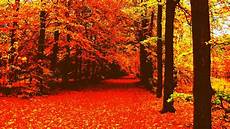 Fall Backgrounds Computer Aesthetic by Aesthetic Autumn Wallpapers Wallpaper Cave Fall Backgrounds Computer Aesthetic