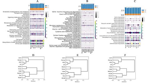 Bacterial Diversity, Metabolic Profiling and Application Potential of ...