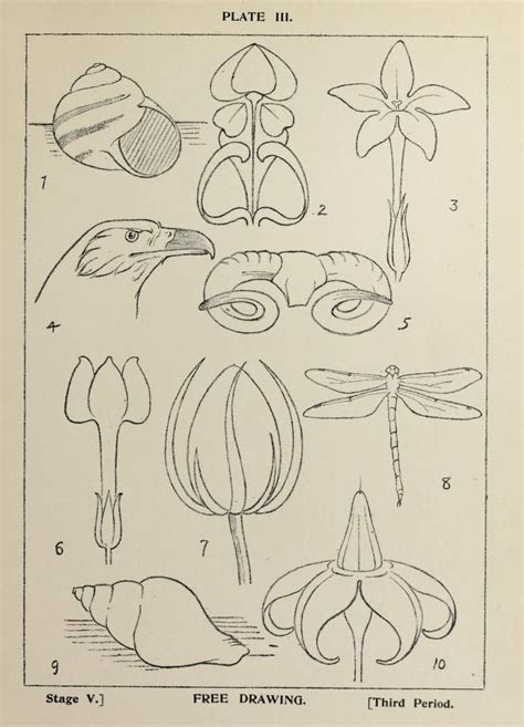 The nervous system : Edelson, Edward, 1932- : Free Download, Borrow, and Streaming : Internet Archiv