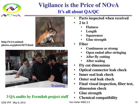 Module 4 PVC Training 的图像结果