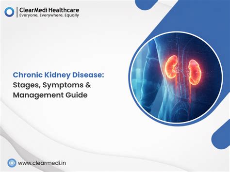 Chronic Kidney Disease: Stages, Symptoms & Management Guide