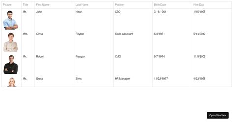 DevExtreme DataGrid CSS 的图像结果