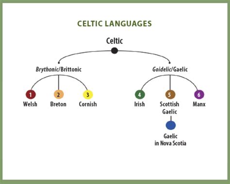Proto Celtic Language Episode 17: Ancient Celts And The Latin Invasion