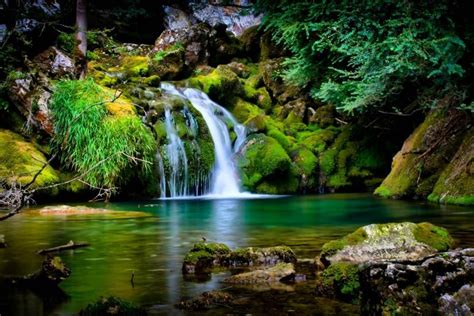 Image result for Java Code Royalty Free