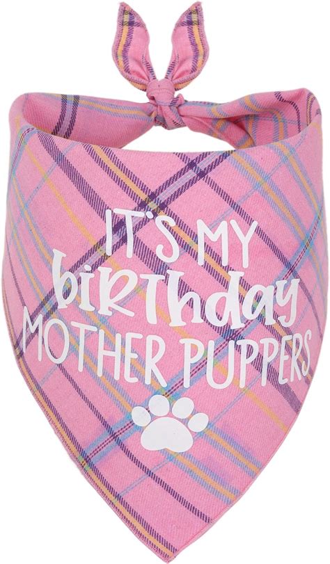 Amazon.com : Dog Birthday Bandana, Birthday Girl Puppy Bandana for ...