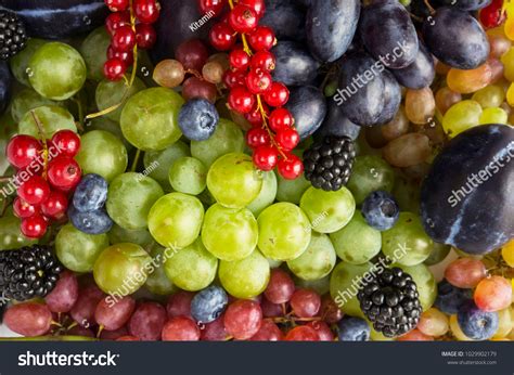 Grape berry Images, Stock Photos & Vectors | Shutterstock