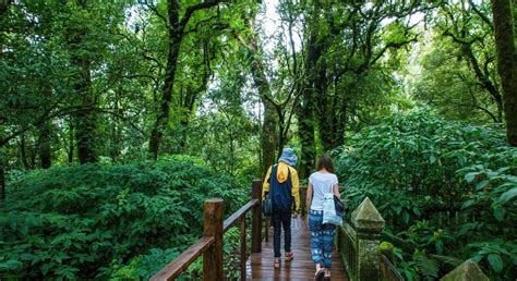 Activities in Thailand