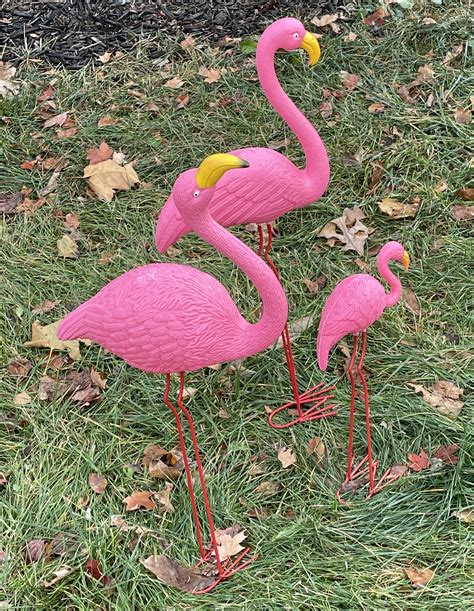 A blustery day in Ann Arbor – Michael's Place