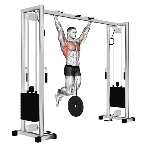 Weighted Pull Up: Benefits, Muscles Worked, and More - Inspire US