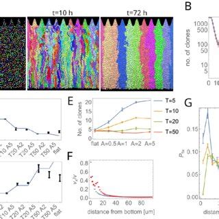 Computer Simulation in Science Model 的图像结果