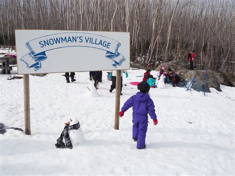 Snow Fun 的图像结果