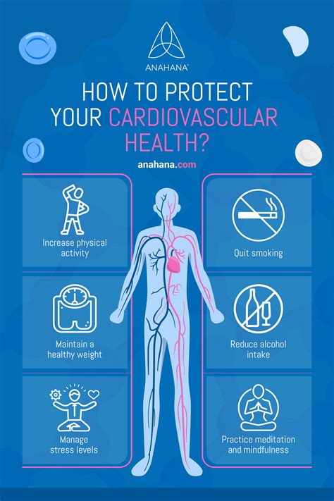 How to Protect Your Cardiovascular Health | Cardiovascular health, Circulatory system, Healthy ...