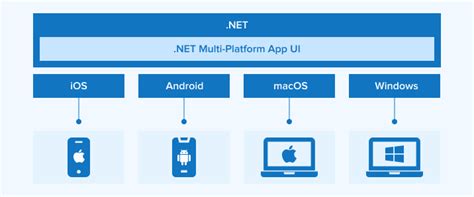 Image result for NET Maui Basics