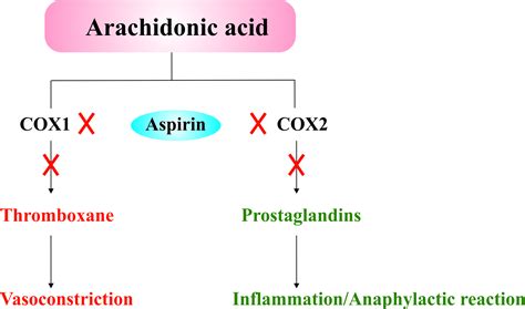 The Mechanism Of Action Of Aspirin at Joan Mealey blog