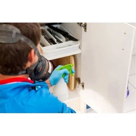 Cockroaches Pest Control Services - Commercial Pest Control Services ...