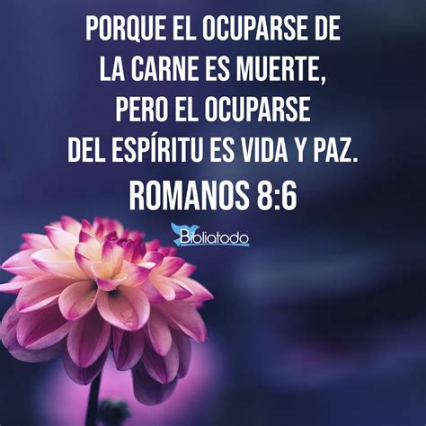 Romanos 8:6 Referencias Cruzadas de la Biblia | Conexiones Versículo a ...