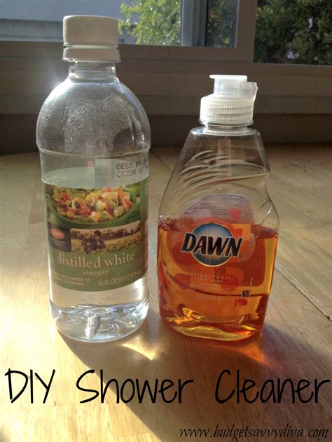 Diy Deep Shower Cleaner at Isaac Macquarie blog