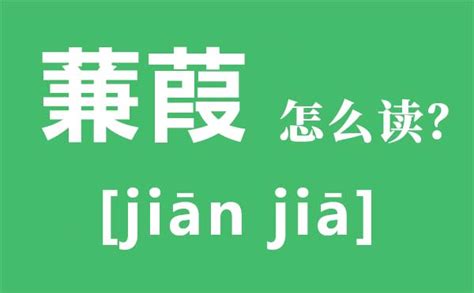 蒹葭怎么读全文拼音_蒹葭的意思是什么_蒹葭原文翻译及赏析_学习力