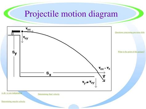 Image result for Projectile Motion Simple Diagram