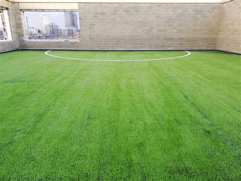 Rooftop Sportsfield 的图像结果