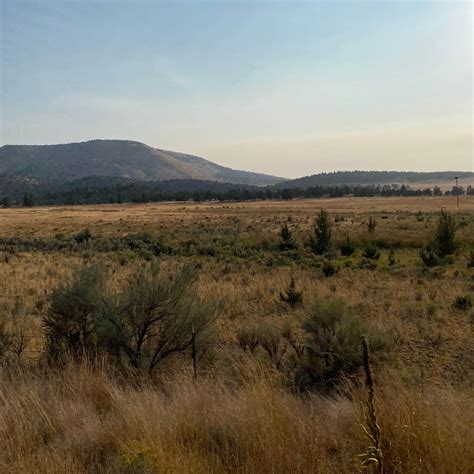 Haystack Reservoir Campground Camping | The Dyrt